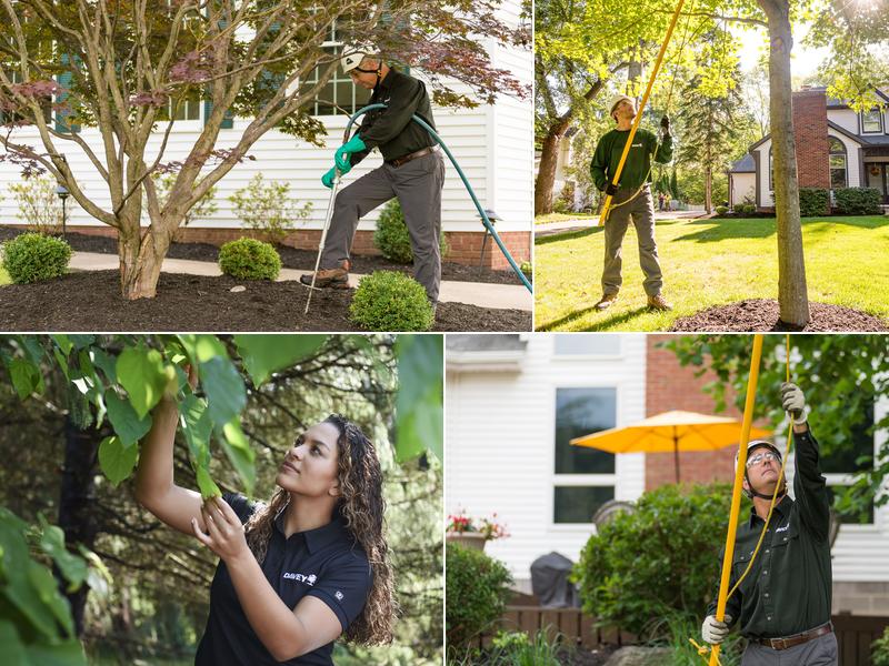 The Davey Tree Expert Company