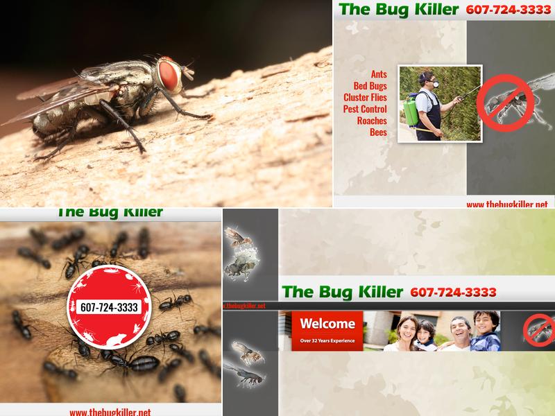 The Bug Killer