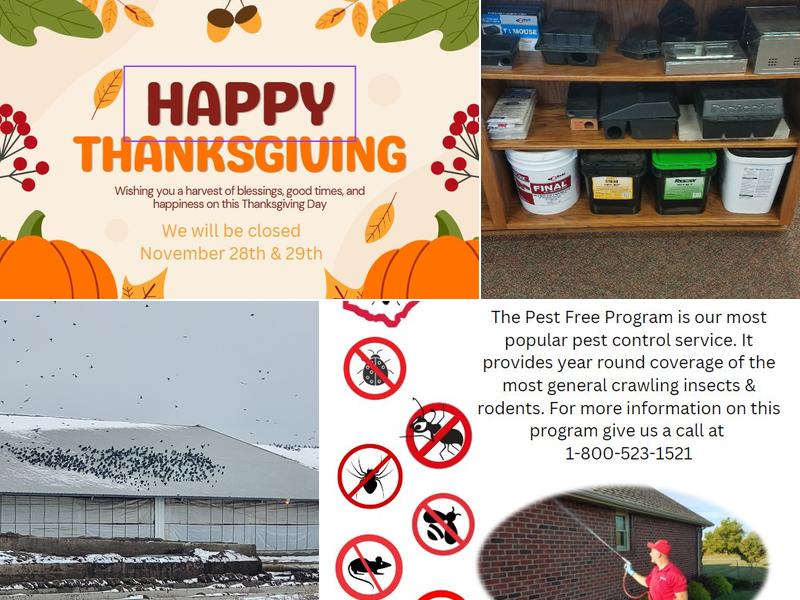 Buckeye Exterminating