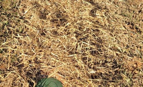 Four Seasons Pest Control