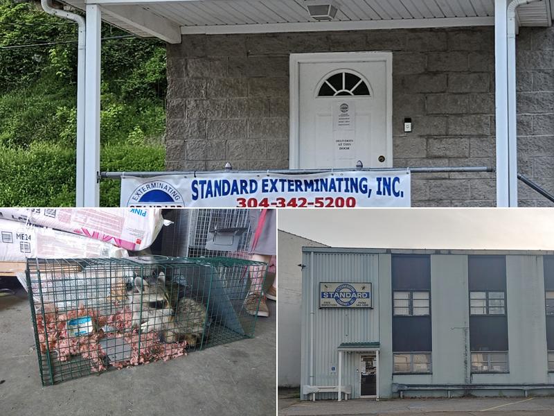 Standard Exterminating Co