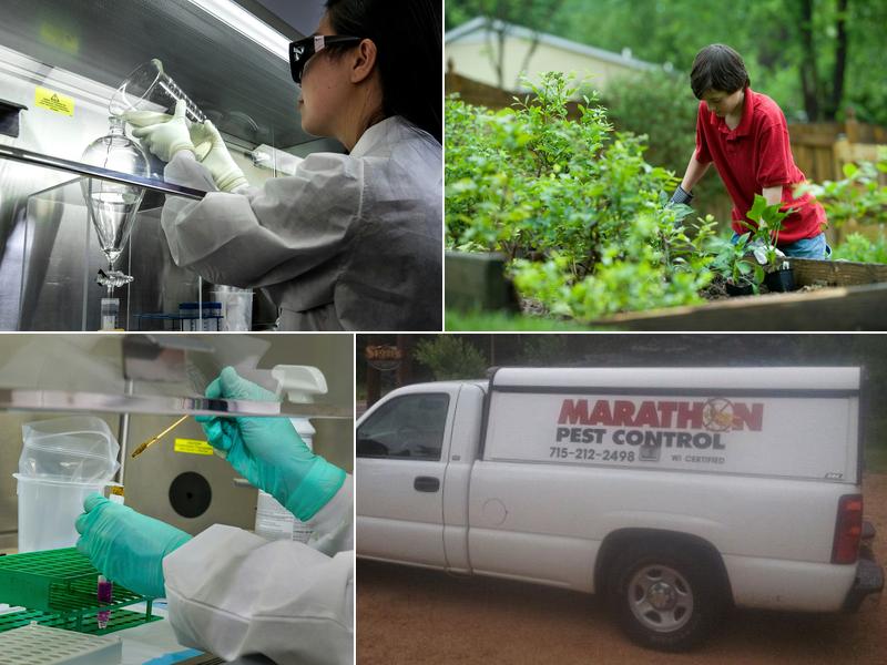 Alexander Pest Control Service