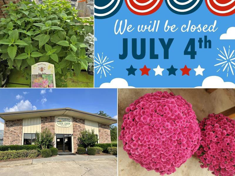 Diversified Services Lawn Care & Garden Center