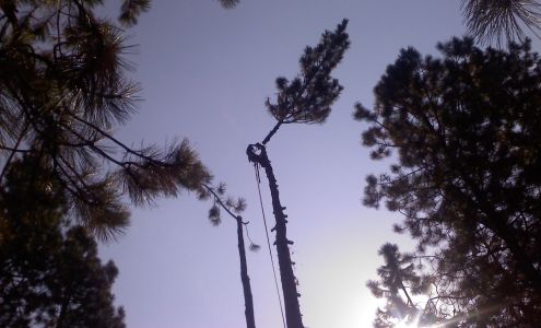 Alderson Tree Service