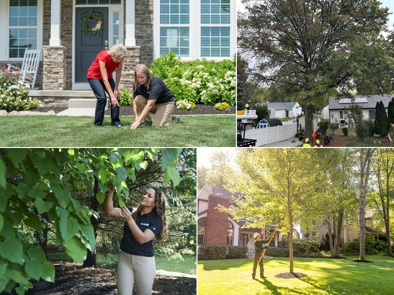 The Davey Tree Expert Company