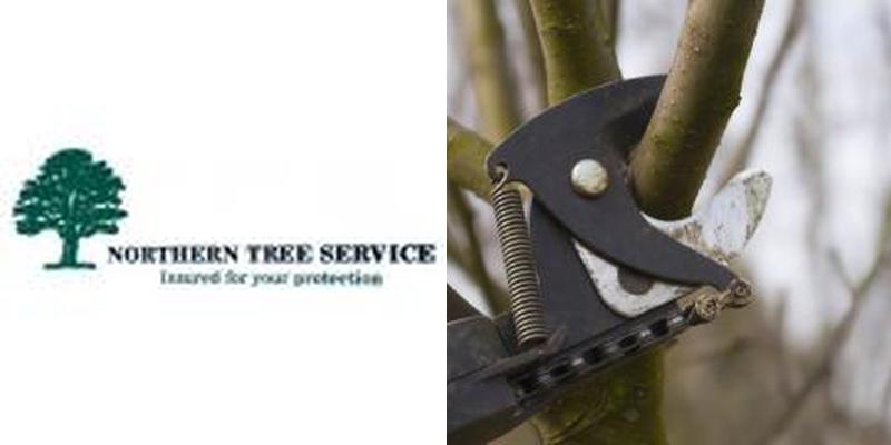Northern Tree & Stump Service