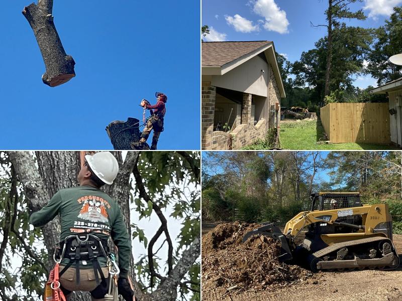 Ferguson's Tree Care & Stump