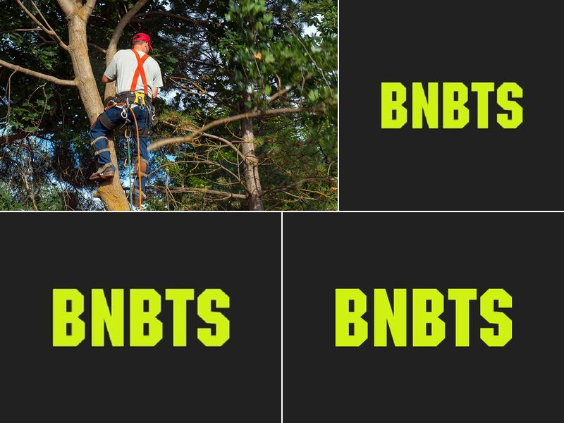 Bosk N Bower Tree Service