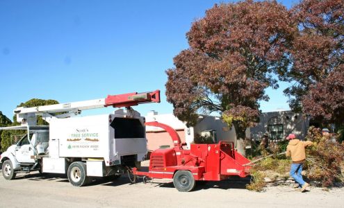 Scott's Landscaping & Tree Services