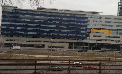 Mountain Tree Services 8 Dock and Coal Ave, Willsboro New York 12996