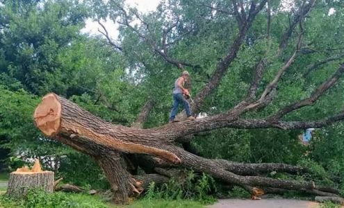 StickyNote Tree Service, LLC 1401 W College Ave, Guthrie Oklahoma 73044