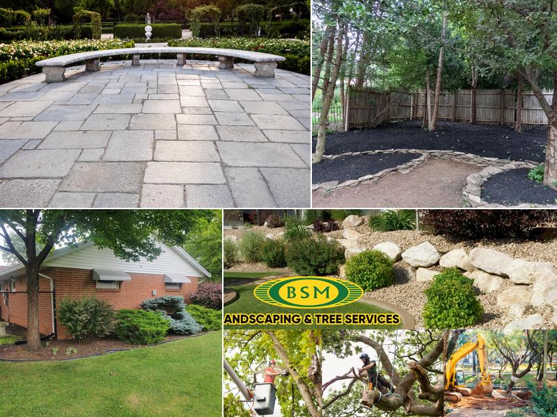 BSM Landscaping and Tree Service