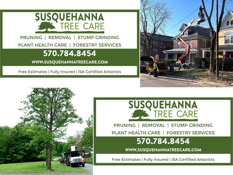 Susquehanna Tree Care