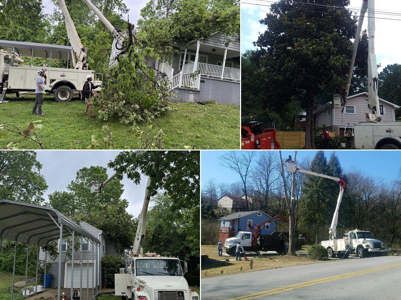 On Call Tree Service