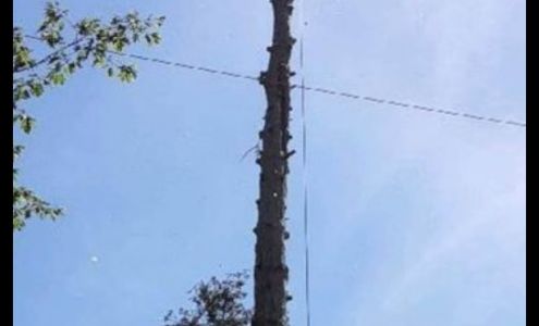 St.Vincent Tree Service 483 Fischer Lake Pkwy, Niagara Wisconsin 54151