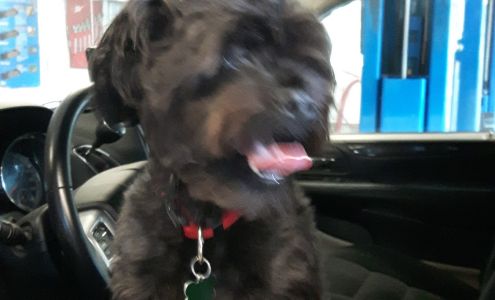 Garage Benoit Morrissette 3394 Chem. des Peupliers, Mont-Laurier Quebec J9L 3G6