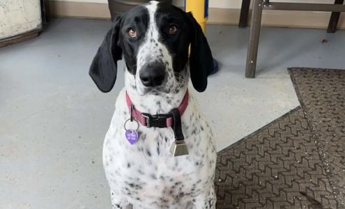 Jon's Garage Avondale