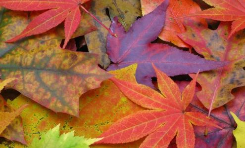 Datura Therapeutic Day Spa