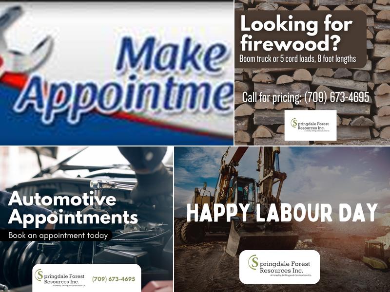 Springdale Forest Resources Inc.