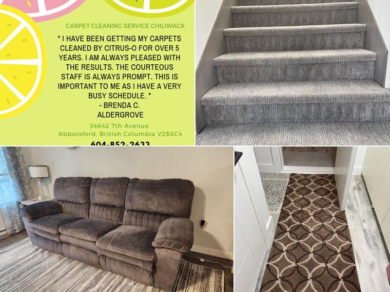 Valley Citrus-O Carpet Care Inc