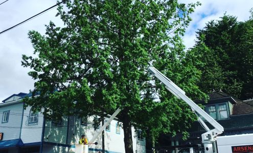 Arsenault Tree Service