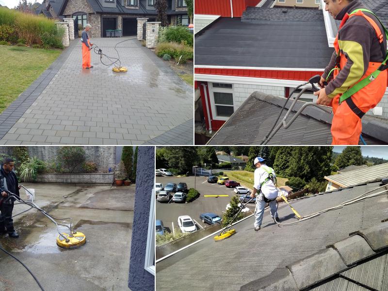 Integrity Maintenance