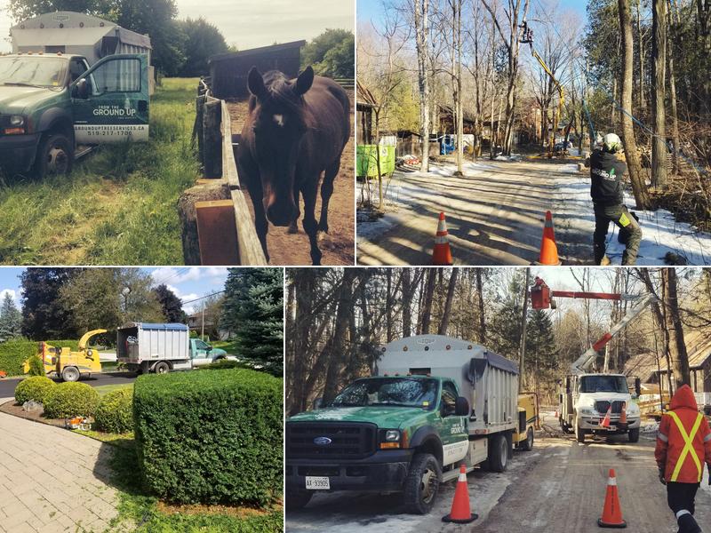 From The Ground Up Tree Services inc