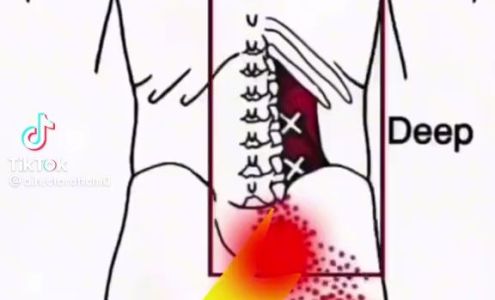 J. Murphy's Contracting Inc. 22441 Dewdney Trunk Rd, Maple Ridge British Columbia V2X 6C9