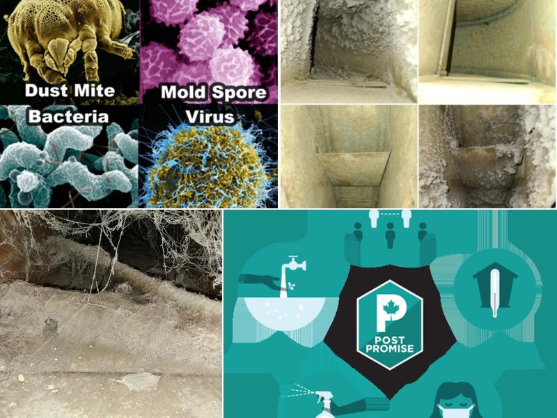 Revolutionary Building Solutions Inc