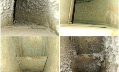 Revolutionary Building Solutions Inc