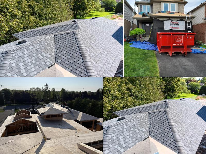 Xtreme Contracting Ltd.