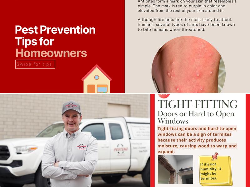 Pestend Pest Control Toronto