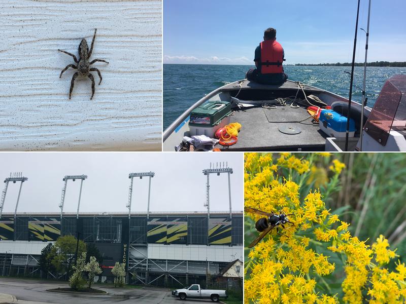 First Defence Pest Control