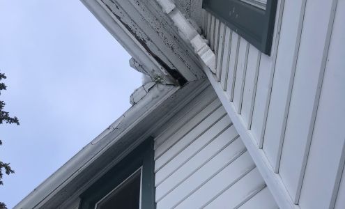 Canucks Wildlife Services 10511 Gilmour Rd, Brinston Ontario K0E 1C0