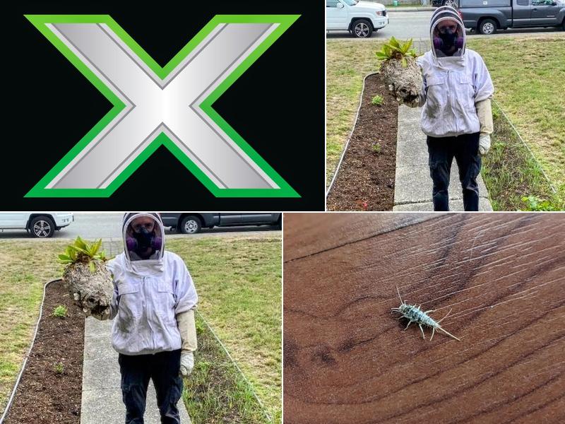 The X-Terminators - Pest Control Burnaby