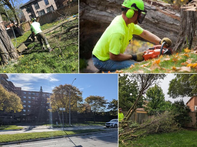 Forestwood Tree Service