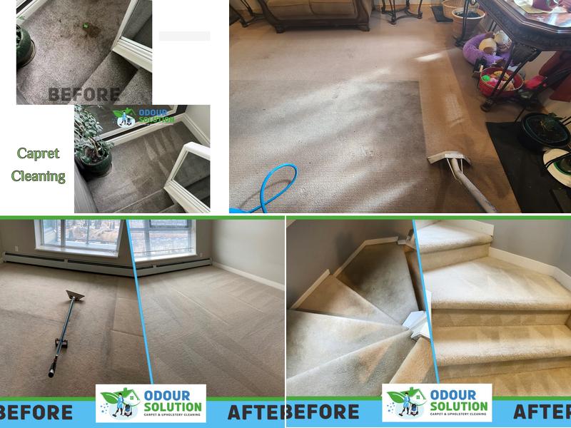 Odour Solution - carpet & upholstery cleaning