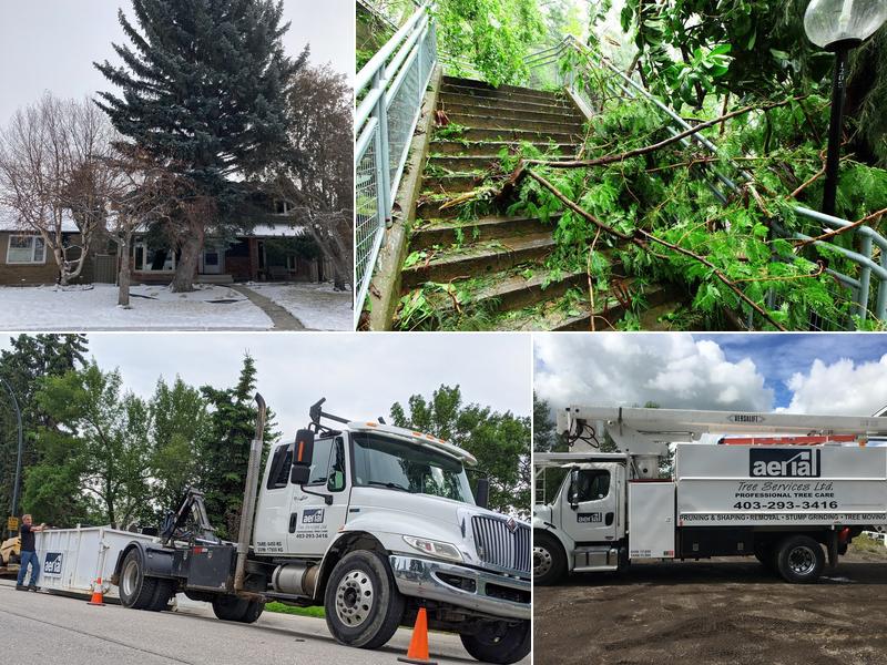 Aerial Tree Services