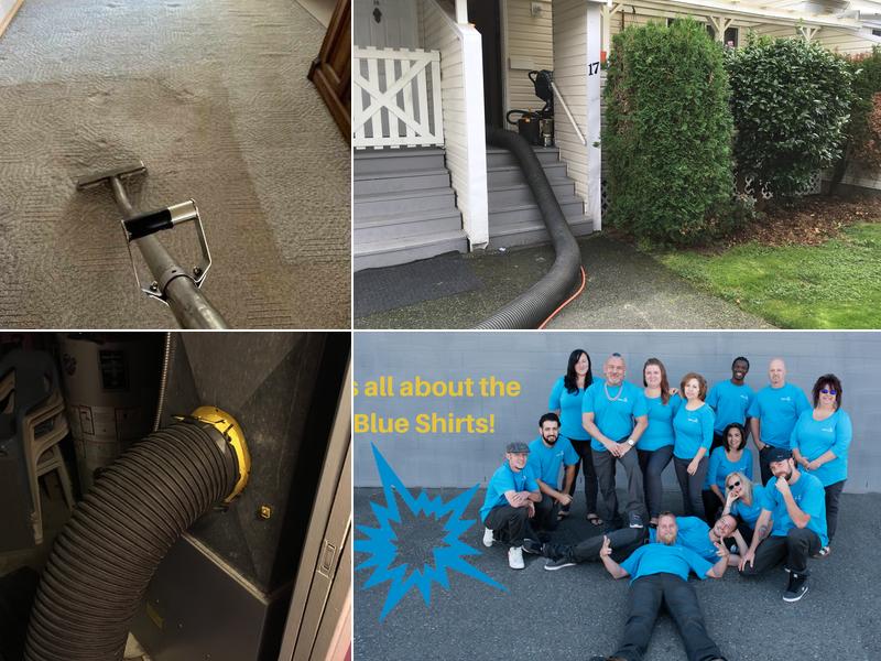 New Look Home Services