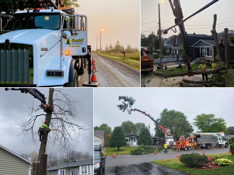 Campbell Tree Experts Inc