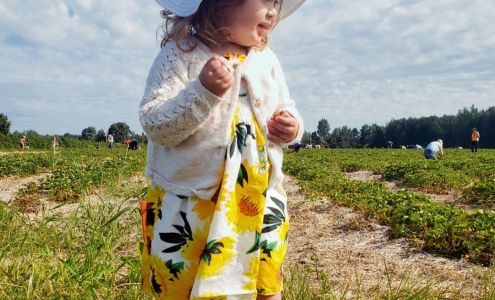 Aidie Creek Gardens 487413 Aidie Creek Garden Rd, Englehart Ontario P0J 1H0