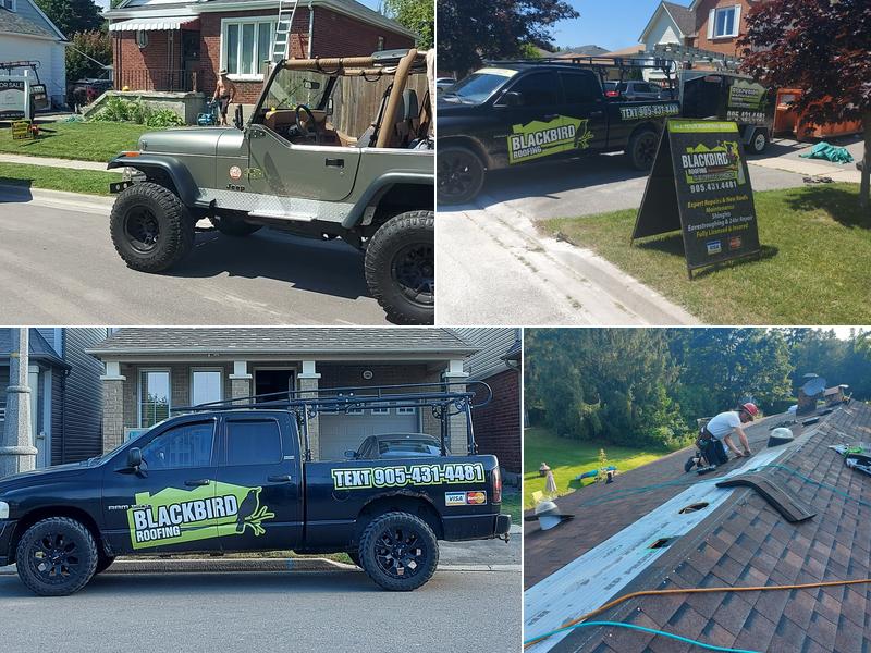 Blackbird Roofing
