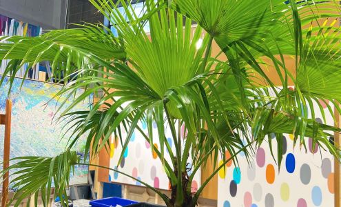 Peter Triantos Art Galleries