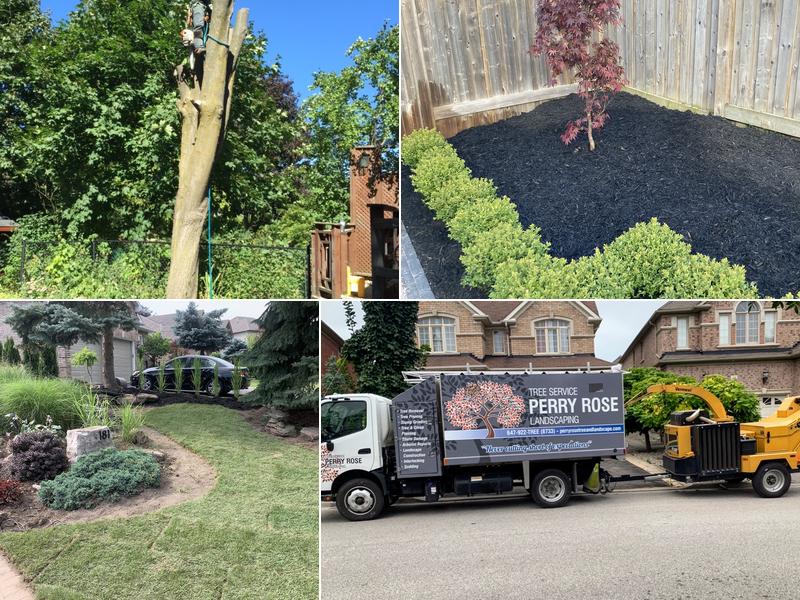 Perry Rose Tree Service and Landscaping