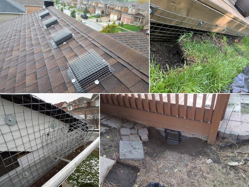 SIA Wildlife Control inc.