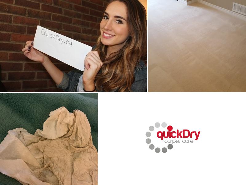 Quick Dry Carpet Care