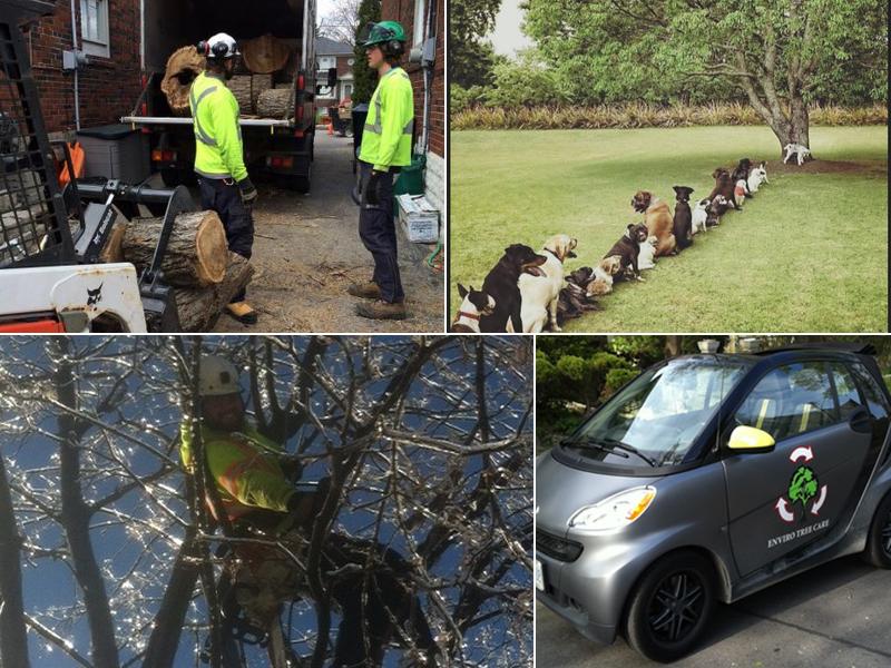 Enviro Tree Care Inc.