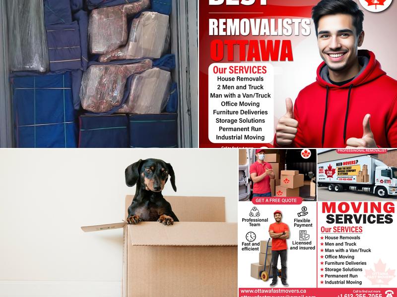 Ottawa Fast Movers