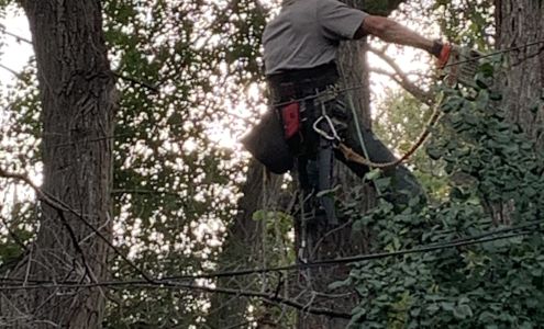 Crowe Tree Service inc