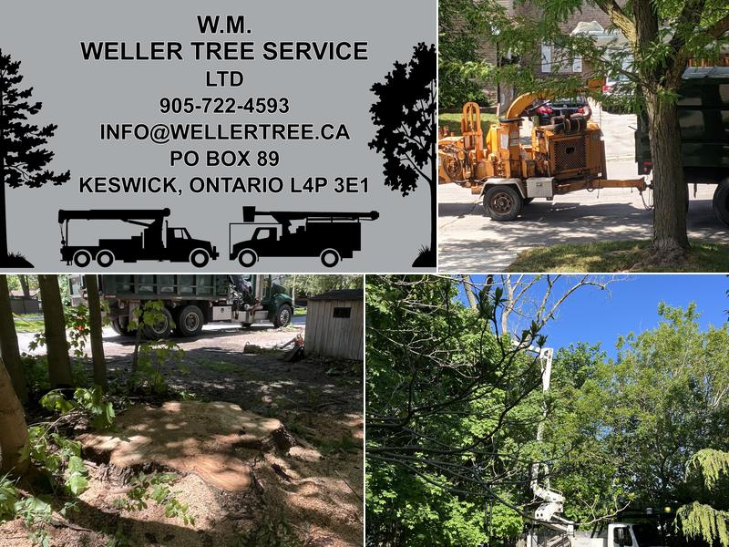 Weller Tree Service Ltd